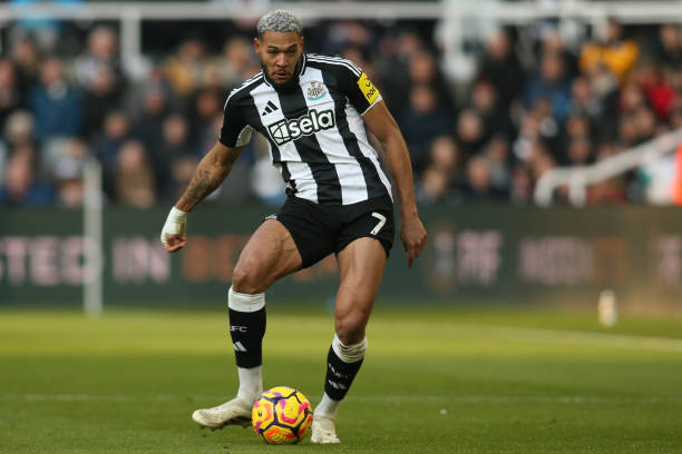 不敌希腊的 不敌希腊的